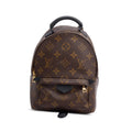 Monogram Palm Springs Mini