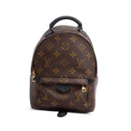 Monogram Palm Springs Mini