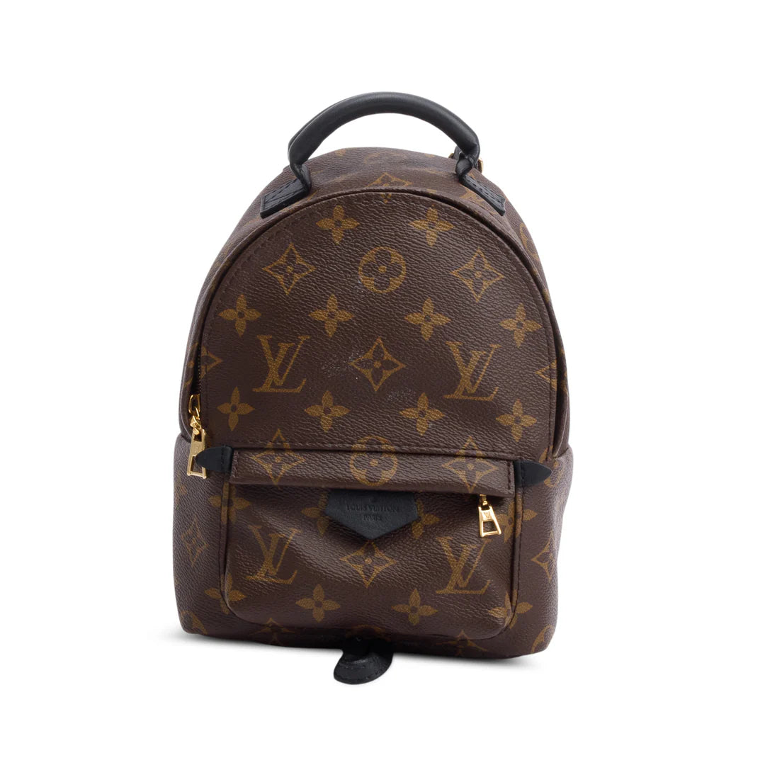 Monogram Palm Springs Mini