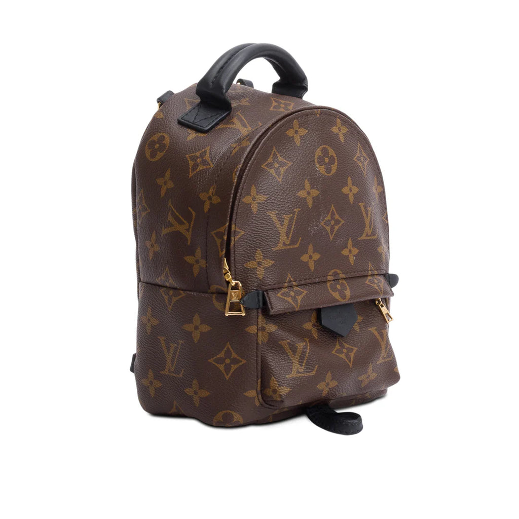 Monogram Palm Springs Mini