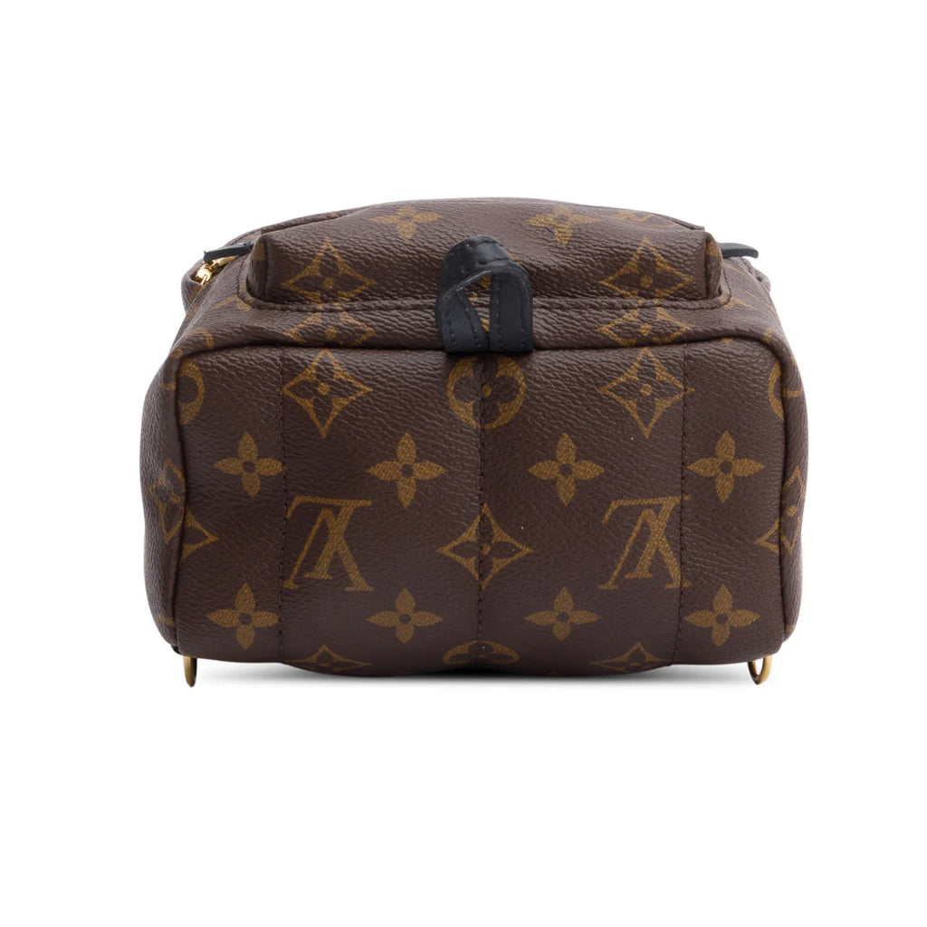 Monogram Palm Springs Mini