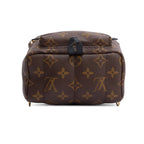 Monogram Palm Springs Mini