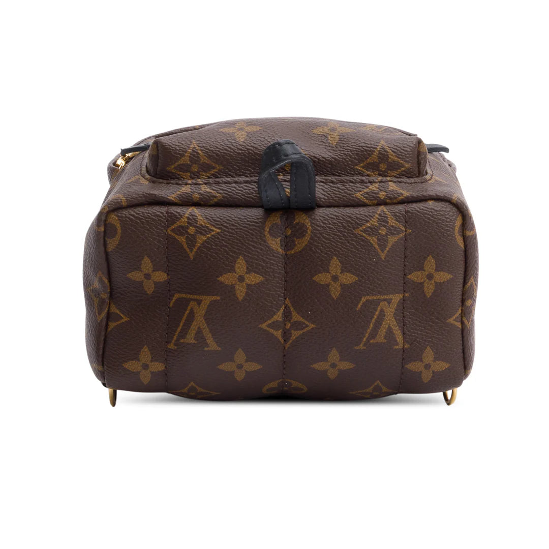 Monogram Palm Springs Mini