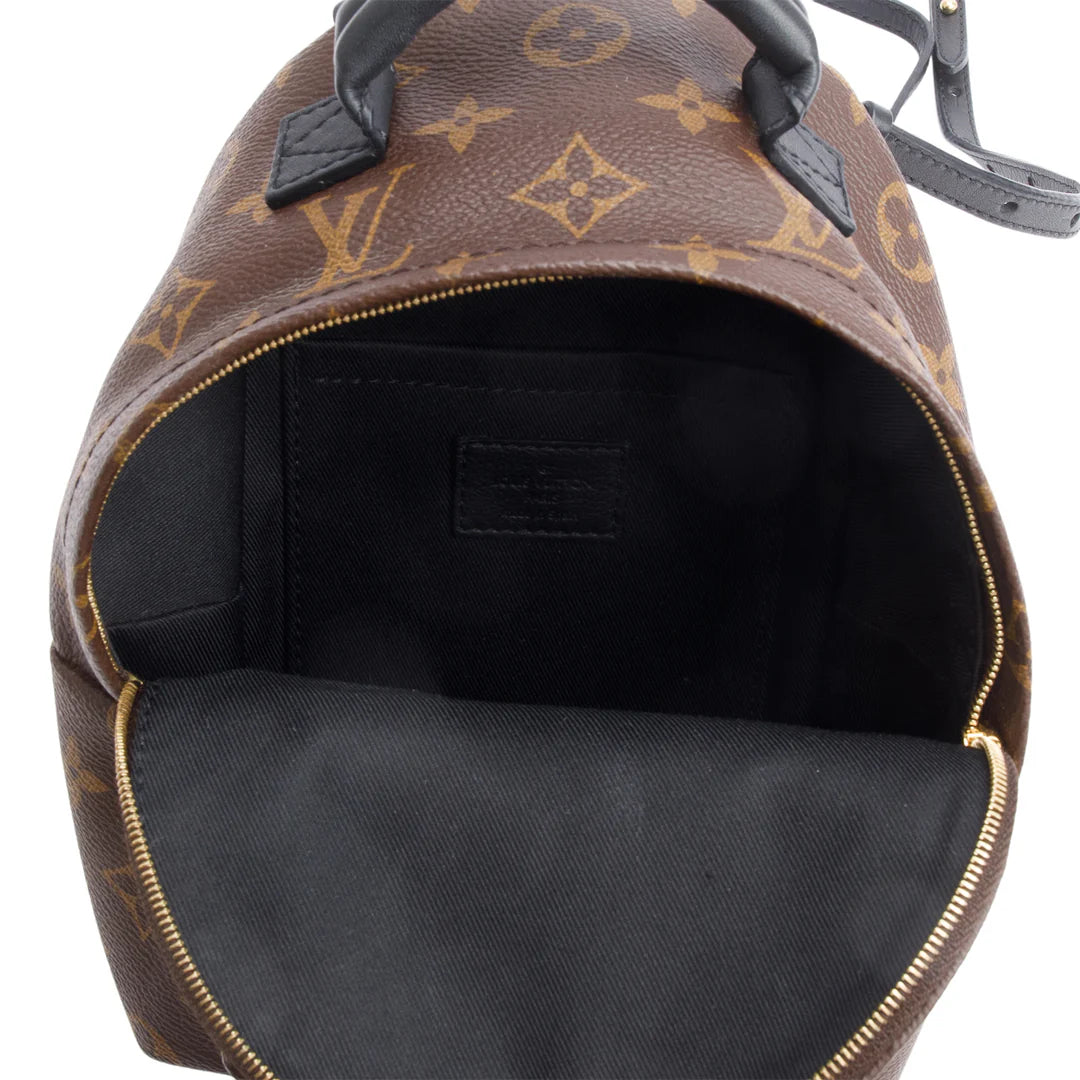 Monogram Palm Springs Mini