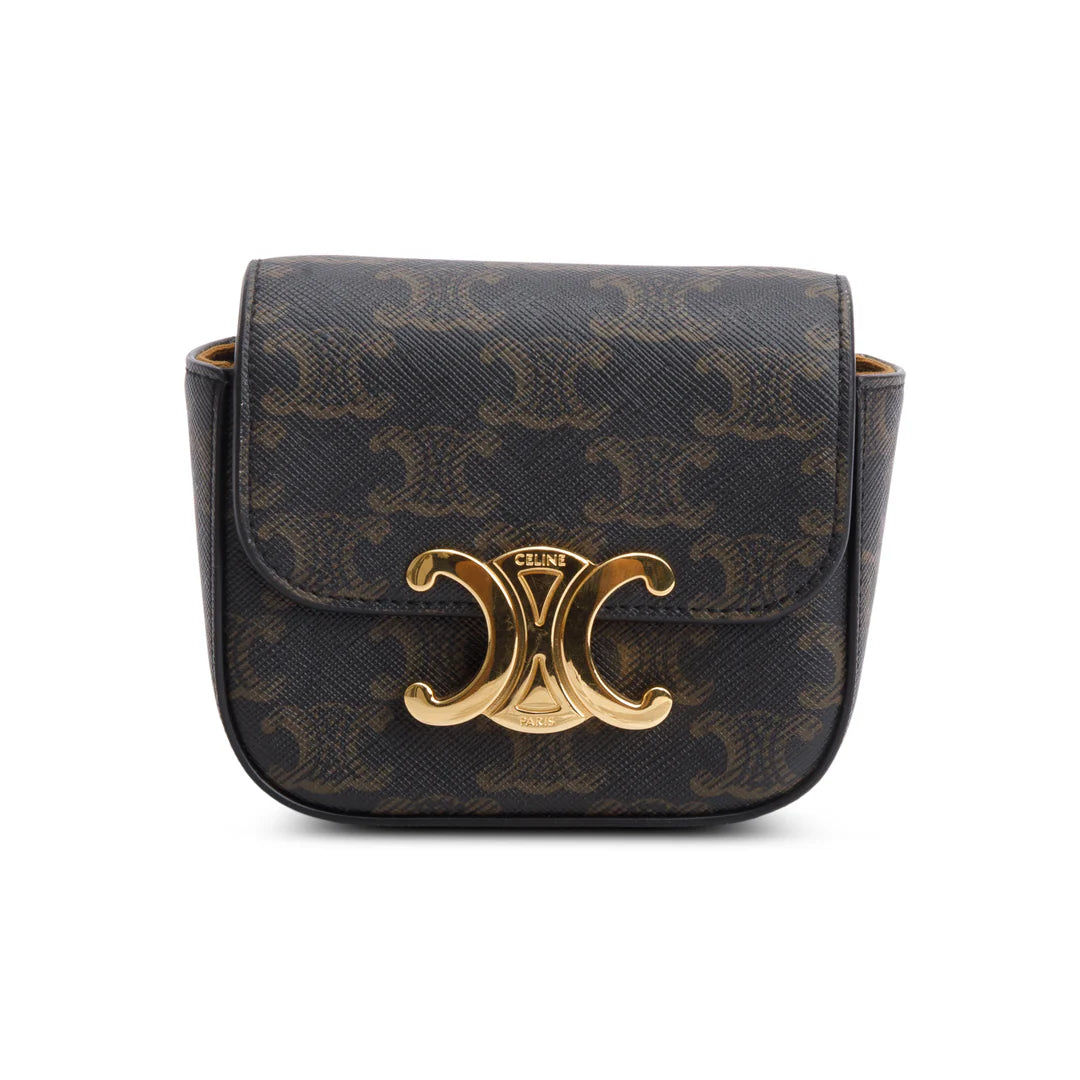2022 Triomphe Canvas Calfskin Mini Claude w/ Strap