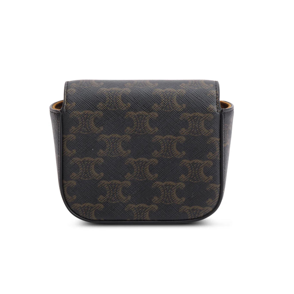 2022 Triomphe Canvas Calfskin Mini Claude w/ Strap