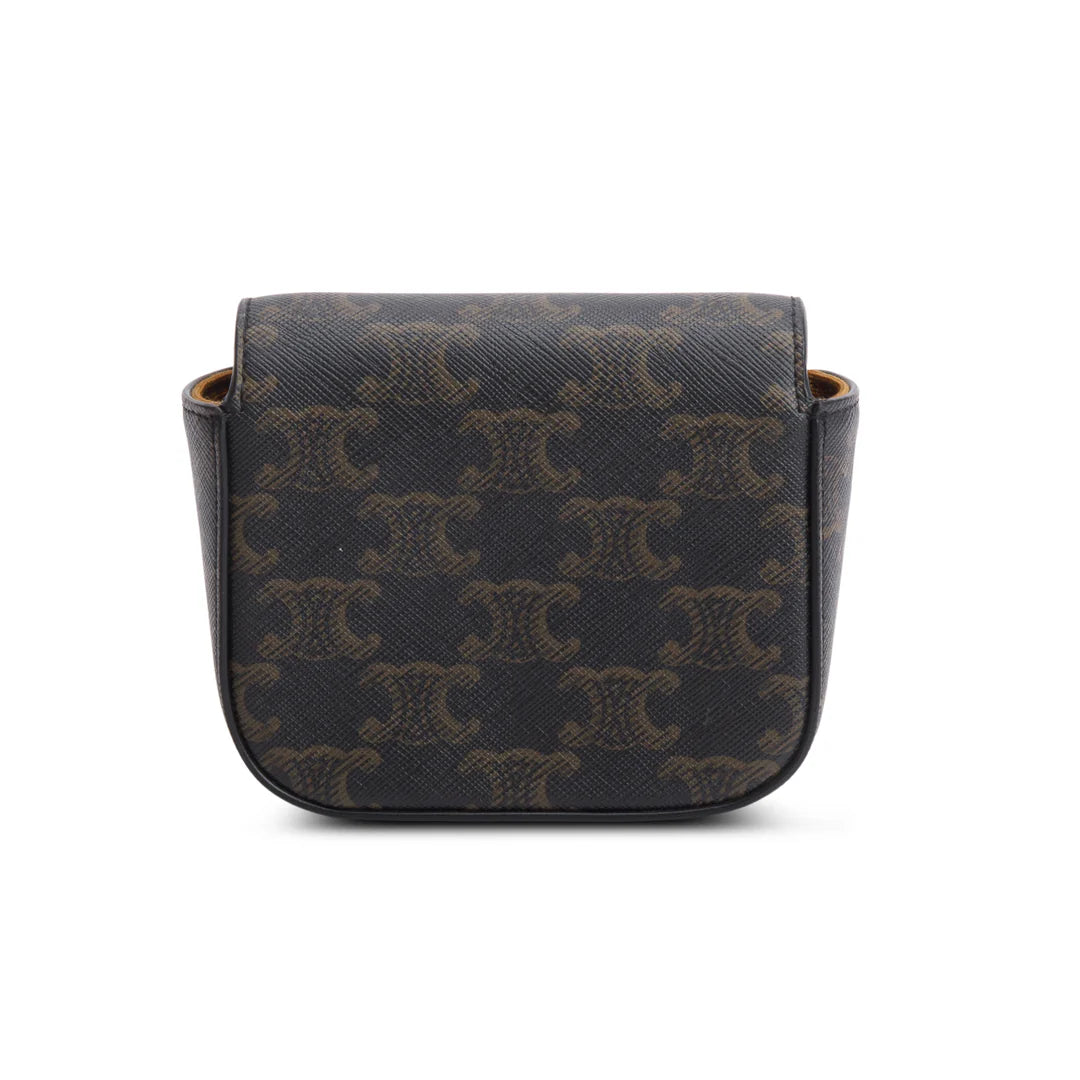 2022 Triomphe Canvas Calfskin Mini Claude w/ Strap