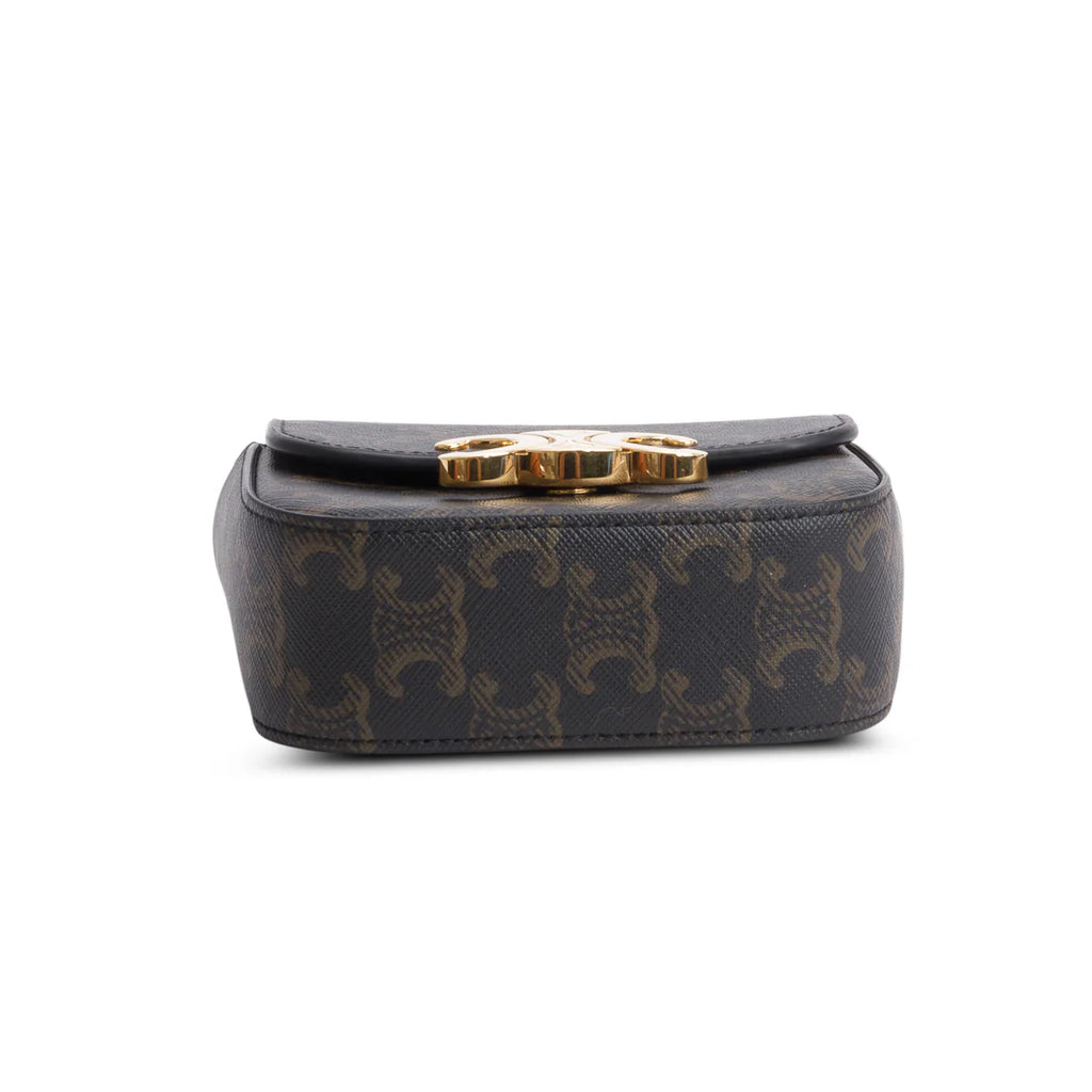 2022 Triomphe Canvas Calfskin Mini Claude w/ Strap