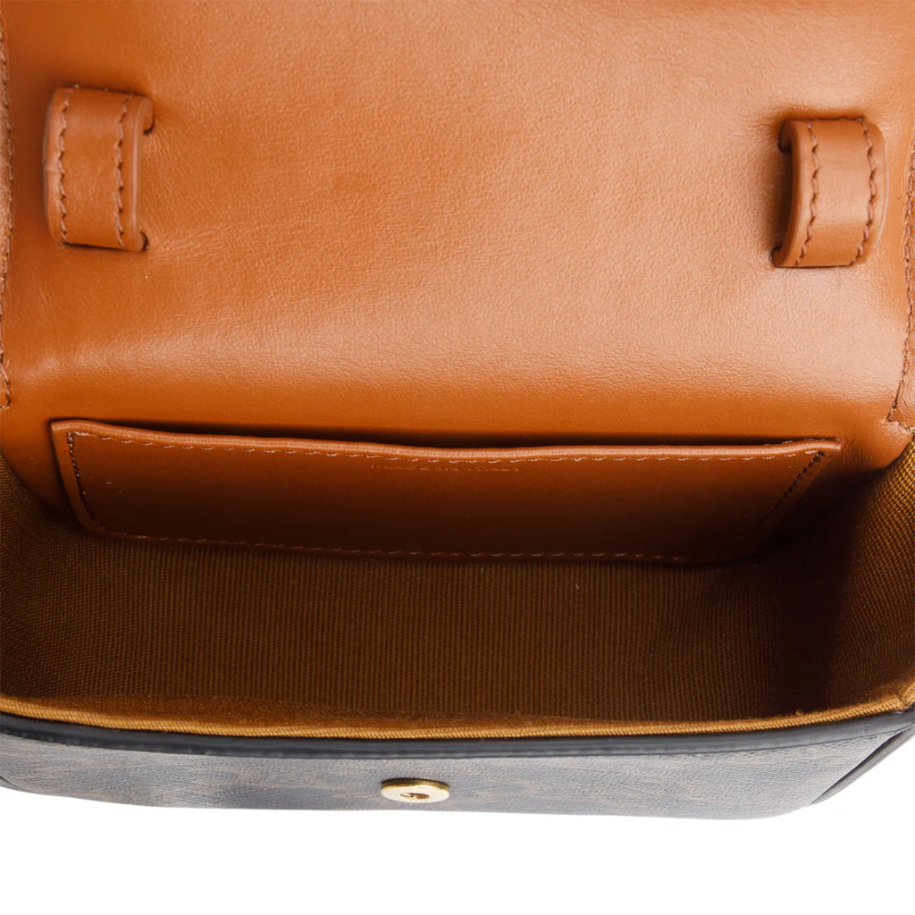 2022 Triomphe Canvas Calfskin Mini Claude w/ Strap