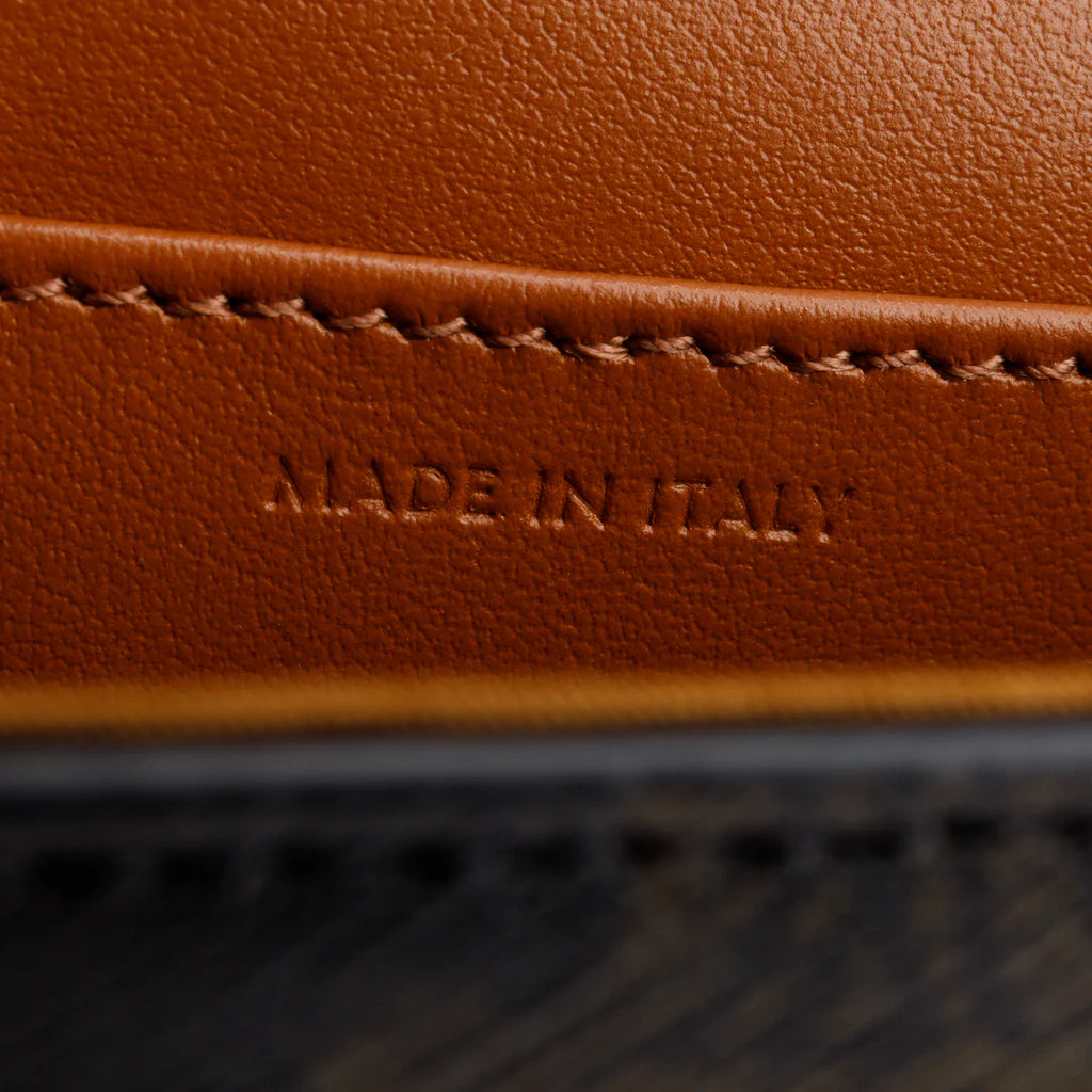 2022 Triomphe Canvas Calfskin Mini Claude w/ Strap