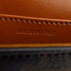 2022 Triomphe Canvas Calfskin Mini Claude w/ Strap