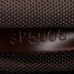 Damier Ebene Pegase 50