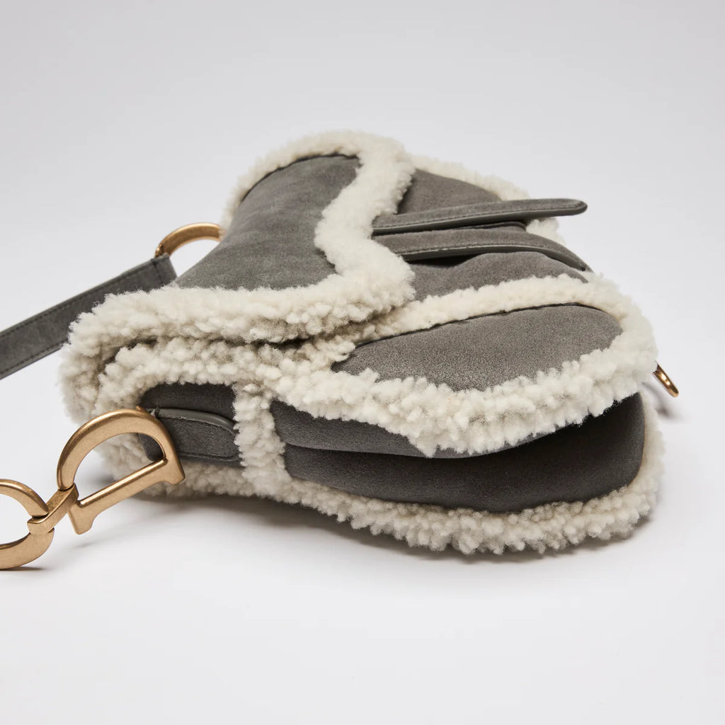 Suede and Shearling Saddle Bag