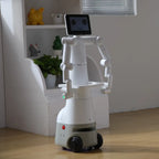 Mercury X1 - Wheeled Humanoid Robot