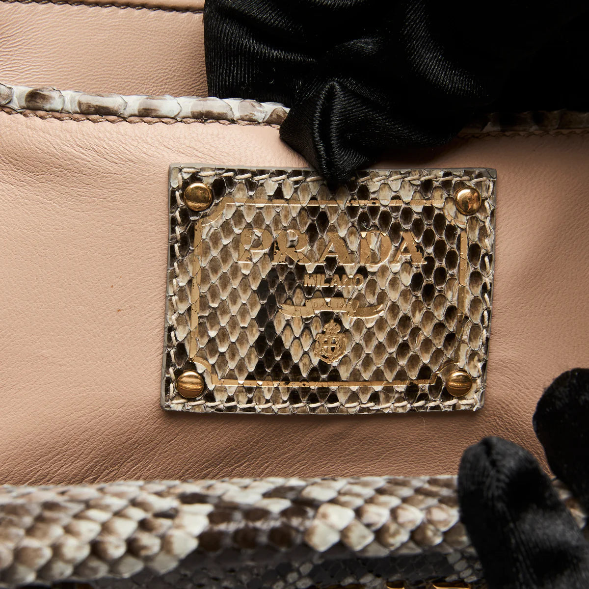 Python Leather Handbag