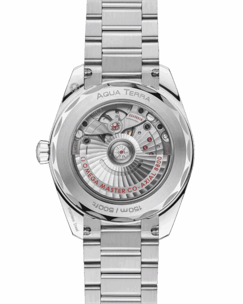 OMEGA SEAMASTER AQUA TERRA 38MM, STEEL ON STEEL Coeur Cult Core