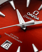 OMEGA SEAMASTER AQUA TERRA 38MM, STEEL ON STEEL Coeur Cult Core