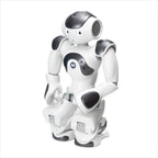 ZoraBots Nao V6 w/ Zora Solution